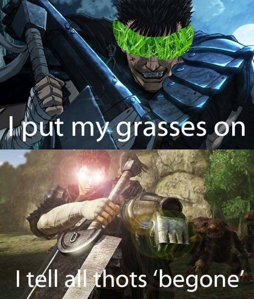 I put. Berserk grasses. Guts grasses. Berserk grasses meme. Berserk Guts grasses.