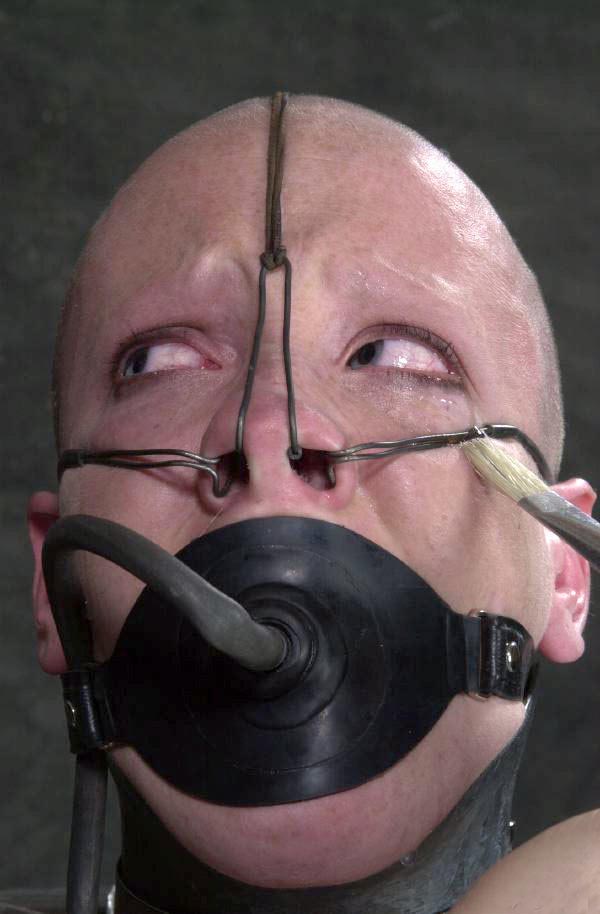 Head Shaving Porn