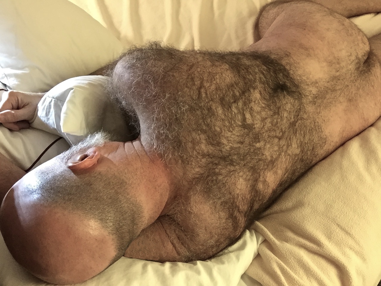 What's down under: big bears and hairy backs