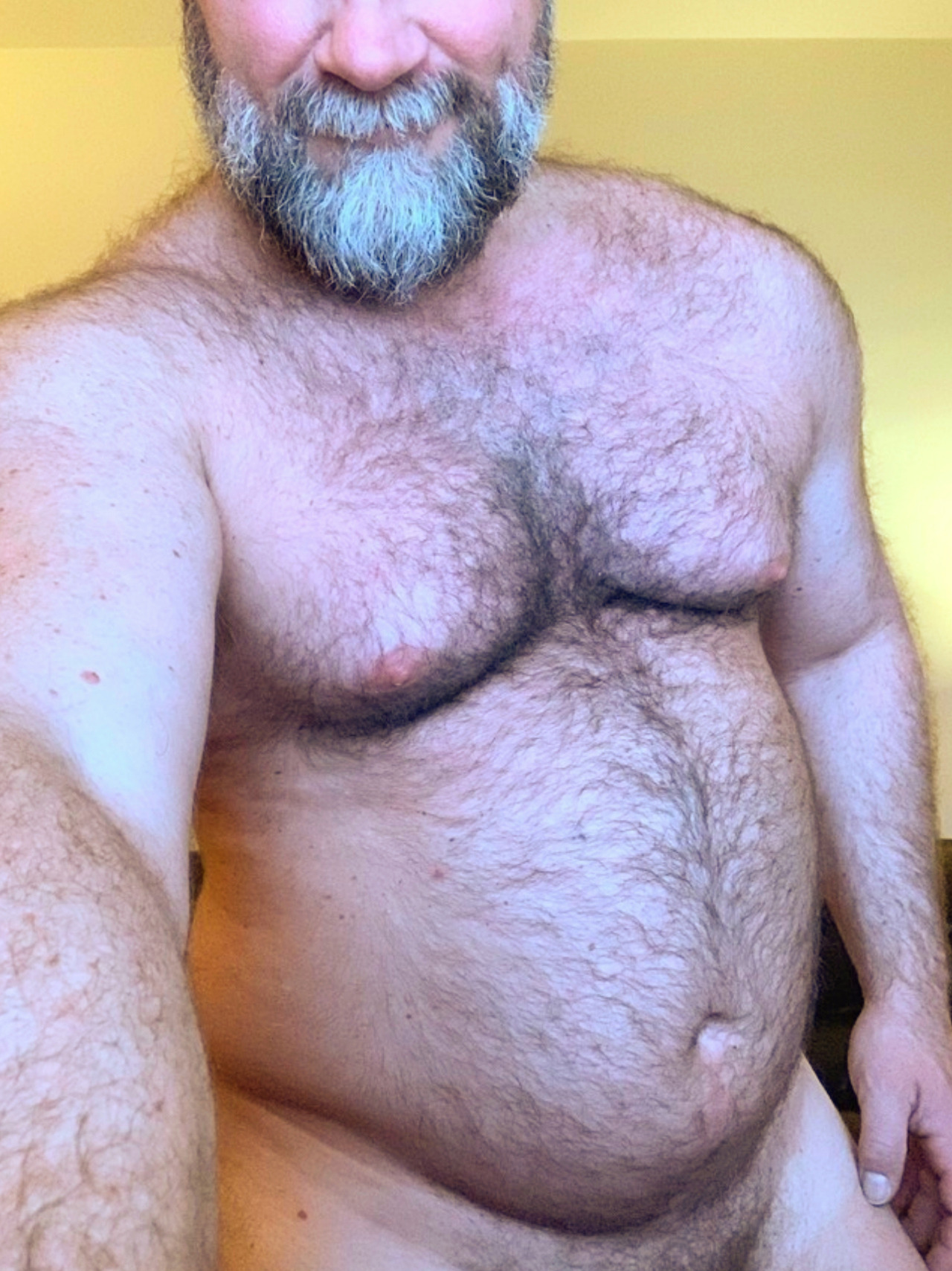 Hairy bear daddy