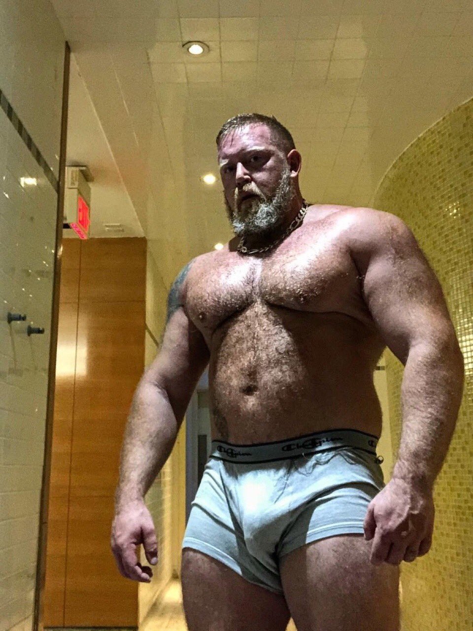 Big daddy bears