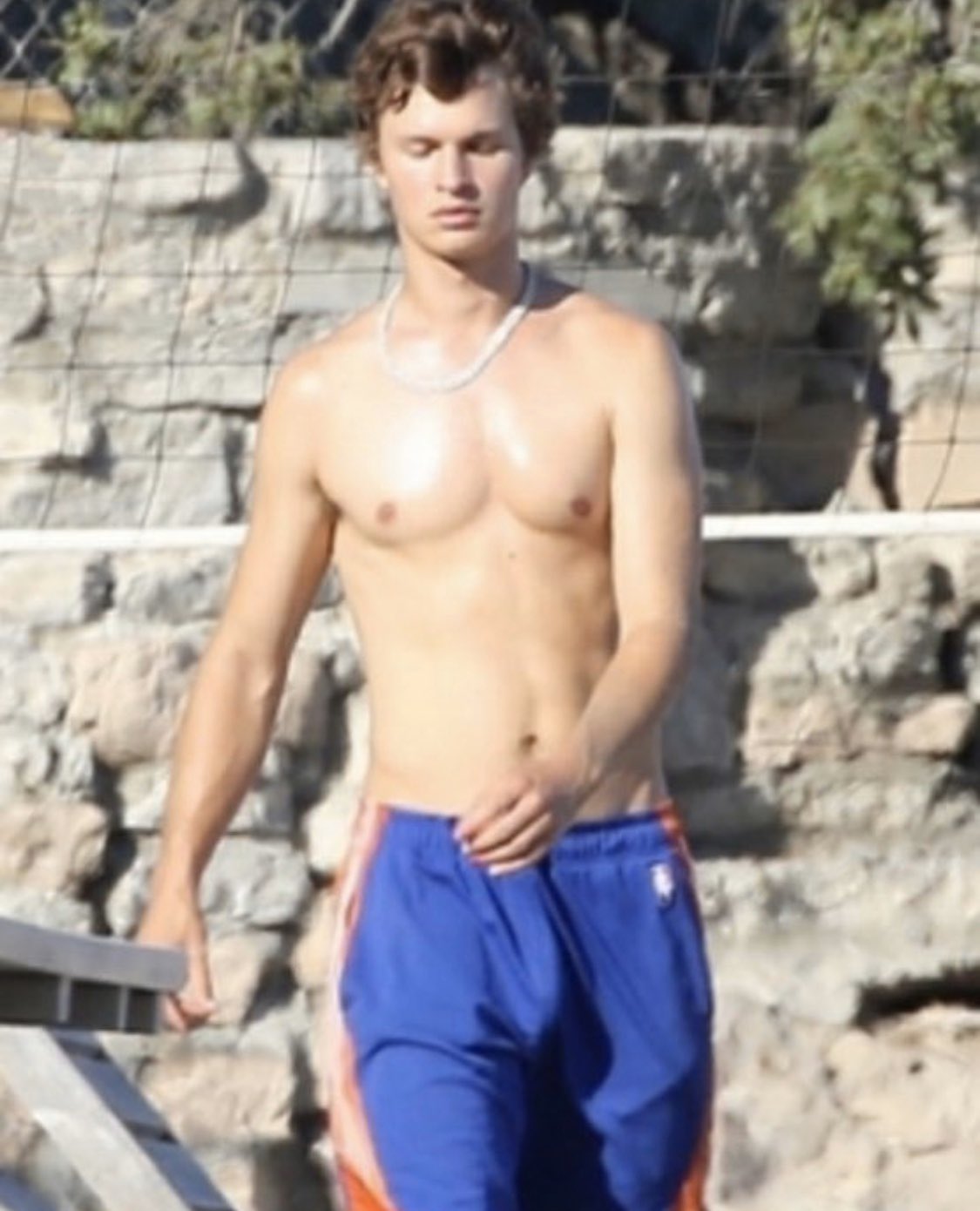 Ansel Elgort