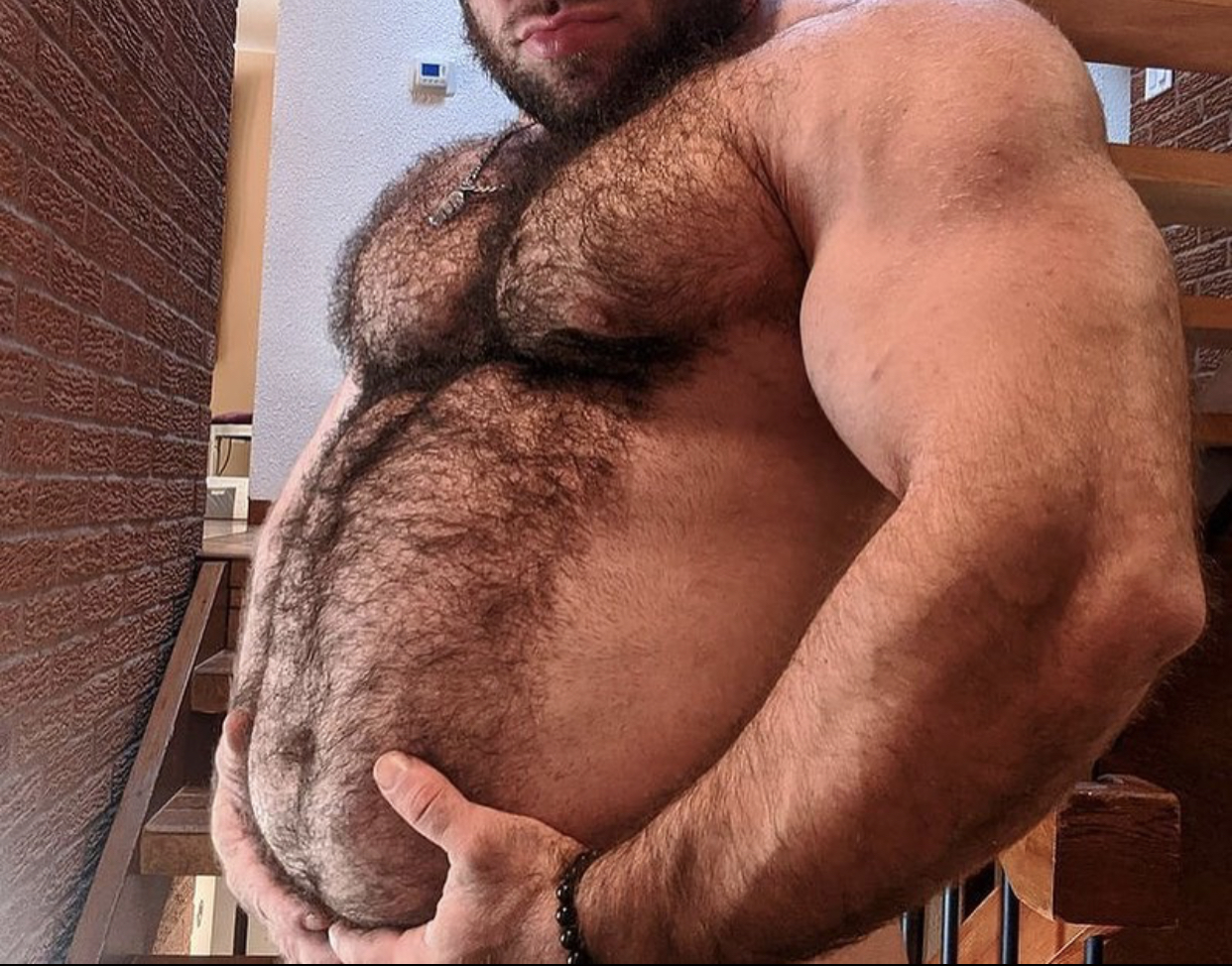 большие геи медведи фото 29