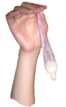 Cock Transparent