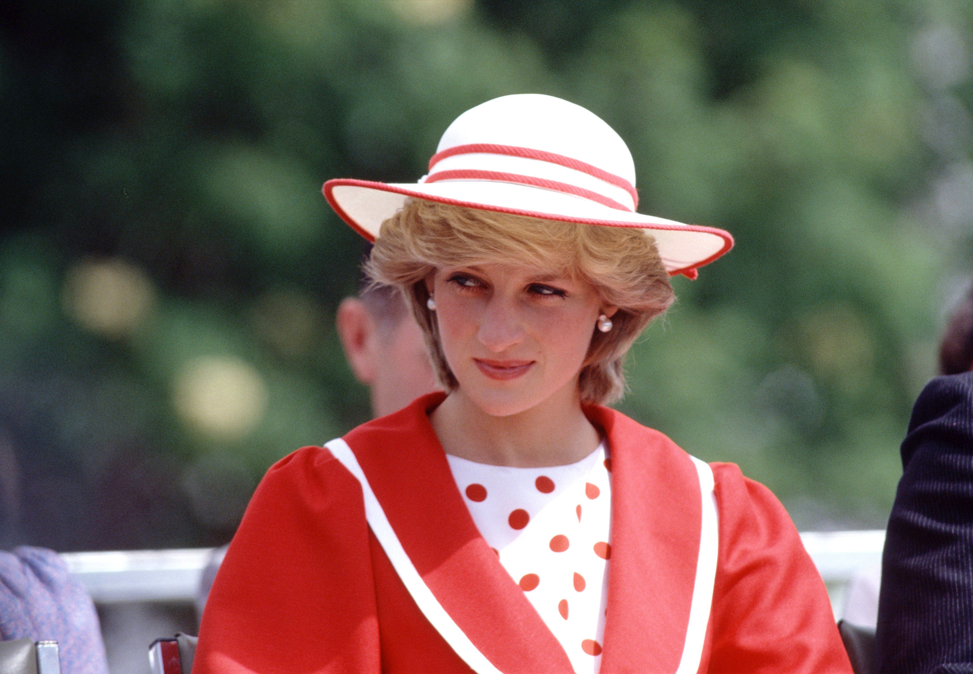 Diana. Princess Diana. Принцесса Диана 1981. Собака принцессы Дианы. Райан из Lady Diana.